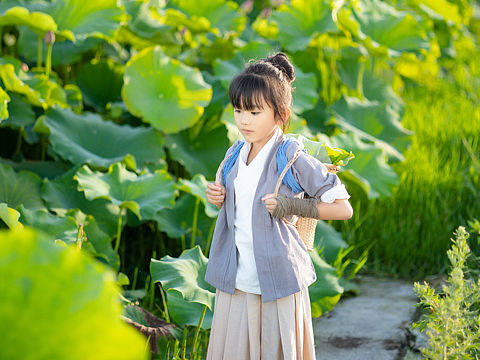 夏荷