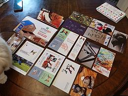 瑞吉欧看见孩子的光主题展览物料设计