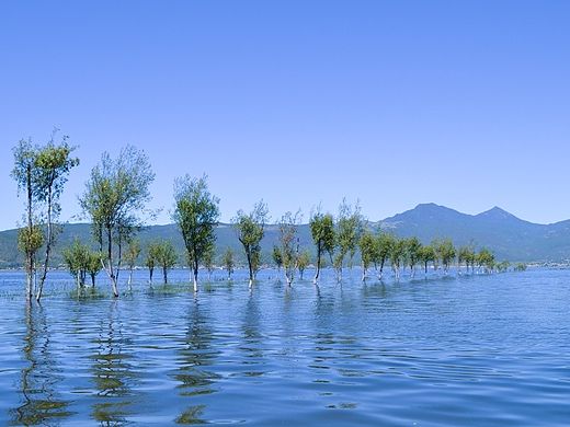 云南之旅（个人主页-ZMTM1ODE2NDQ=） - 风光摄影 - 站酷设计师向日葵的阳光原创素材 - 站酷ZCOOL