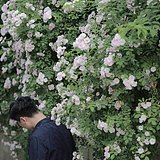 Zhang瀚文的头像