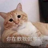 达达达西瓜的头像