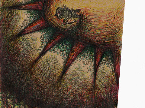 《迎面走向太阳可是该在的依旧还在》