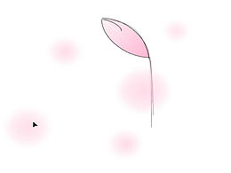 用花瓣作画