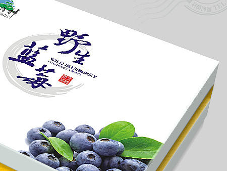 蓝莓礼盒包装设计方案