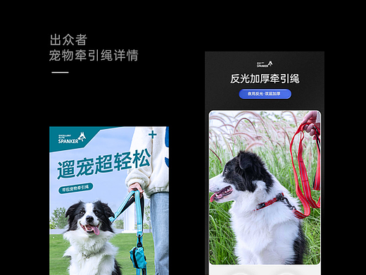 宠物牵引绳详情