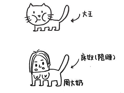 舍友的貓（個(gè)人主頁(yè)-ZMjA2MDQ1Mjg=） - 單幅漫畫 - 站酷設(shè)計(jì)師王罐頭w原創(chuàng)素材 - 站酷ZCOOL