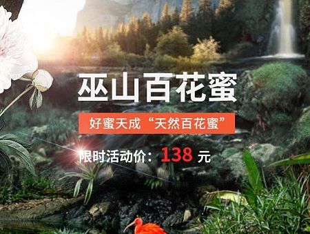 蜂蜜、石榴banner（个人主页-ZMTM3NTI4OTY=） - 电商 - 站酷设计师小野狼原创素材 - 站酷ZCOOL