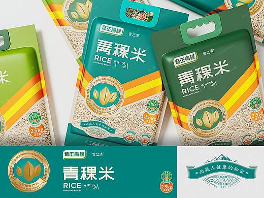 食品包装·奇正青稞|老品牌升级/VI/食品包装设计