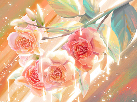 【插画】花卉