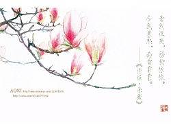 手绘花卉系列——《花·诗经》