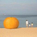 佩奇哟耶的头像