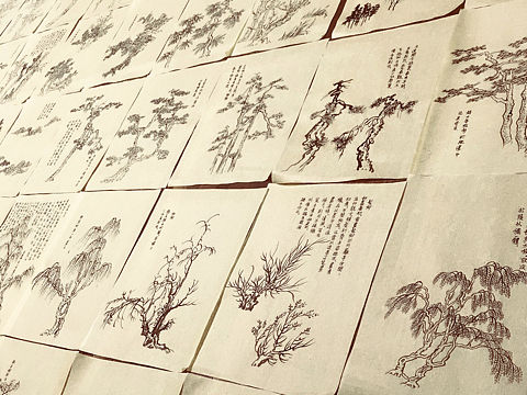 《芥子园画传（树谱）》对临成册