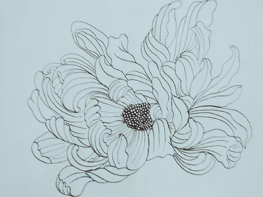 菊花