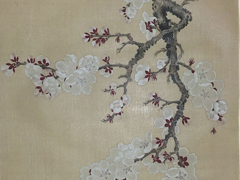 臨摹作品（個(gè)人主頁(yè)-ZMjcyMzQ0MTY=） - 繪畫 - 站酷設(shè)計(jì)師木子小彥原創(chuàng)素材 - 站酷ZCOOL