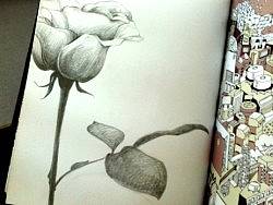 花儿（个人主页-ZMTUzOTY5Ng==） - 商业插画 - 站酷设计师悠扬F调原创素材 - 站酷ZCOOL