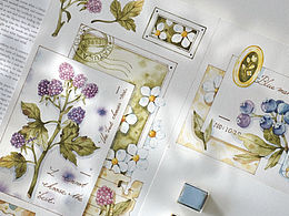 膠帶｜原稿圖透