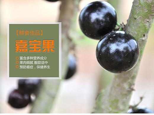 详情页