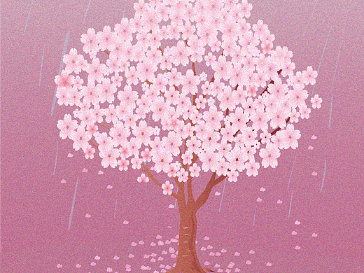 樱花伴细雨