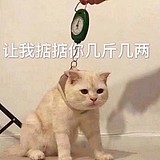 羽封yvfeng的头像