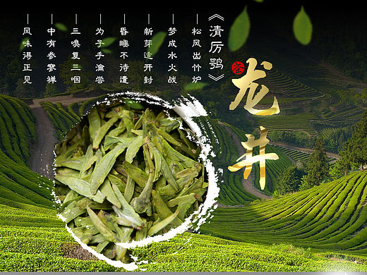 中国风复古龙井明前龙井绿茶茶春茶预售详情页