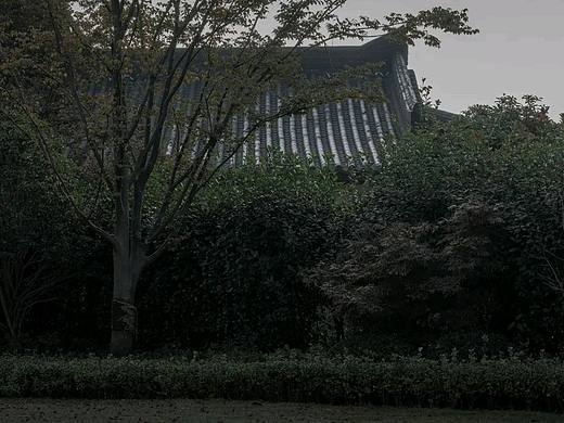 图派视觉 | 肯纳设计 ：长兴大唐贡茶璞仕酒店