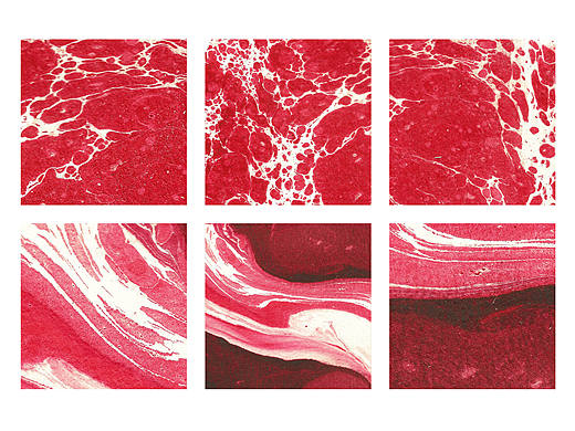 Marbling / Ebru 「肉」貳