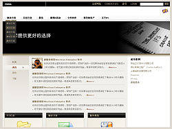 IFS&nbsp;中国官方网站设计