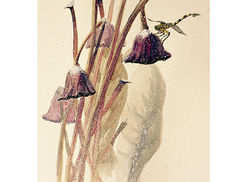 《生的希望》水彩