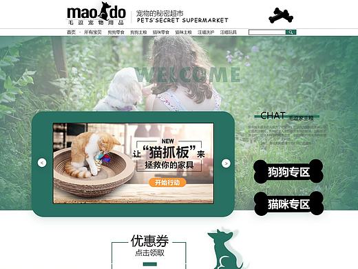 网站首页