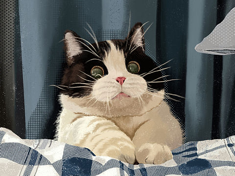 奶牛猫超写实插画