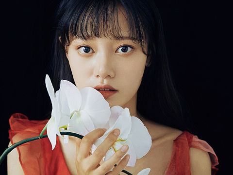 红梦