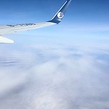 Z80187474的头像