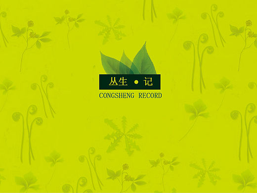毕设—介绍吉林四种野山菜的画册