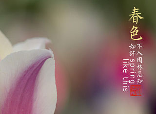 春色如许