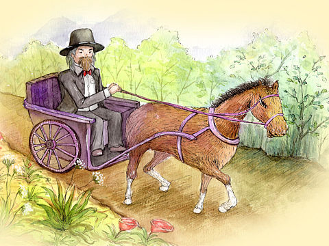 我有一头小“毛驴”（个人主页-ZMTkwMDAxMjQ=） - 儿童插画 - 站酷设计师陈云飞原创素材 - 站酷ZCOOL