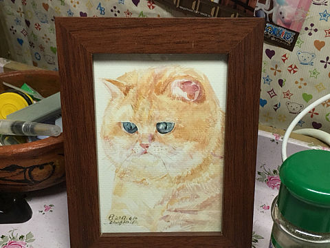 喵喵（个人主页-ZMjEzMjI3NjQ=） - 创作习作 - 站酷设计师海鸟酱原创素材 - 站酷ZCOOL