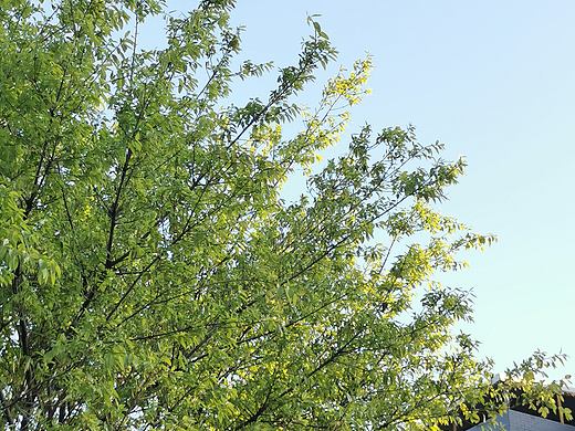 手机摄影练习2（个人主页-ZNTkwMDk1NDQ=） - 风光摄影 - 站酷设计师草菡JF原创素材 - 站酷ZCOOL