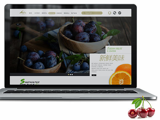 水果网页---村里人垂直门店网页设计