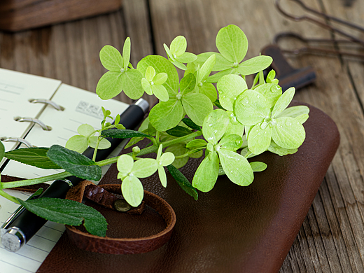 颜色搭配和构图练习