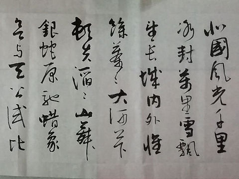 每日一练 书法