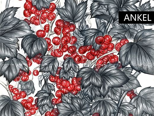 一些关于植物类的手绘插画