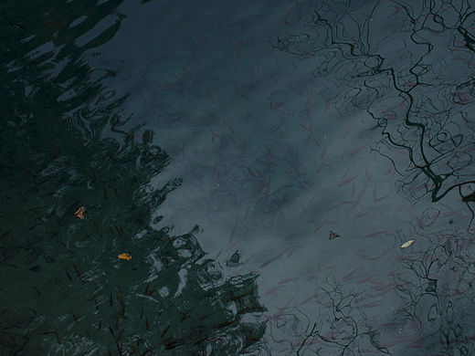 九寨（個(gè)人主頁-ZMTQyODM0OTI=） - 風(fēng)光攝影 - 站酷設(shè)計(jì)師麻池原創(chuàng)素材 - 站酷ZCOOL