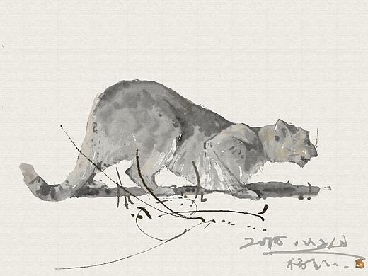 貓（個(gè)人主頁(yè)-ZMTczMjY3MzI=） - 創(chuàng)作習(xí)作 - 站酷設(shè)計(jì)師小白羊Y原創(chuàng)素材 - 站酷ZCOOL