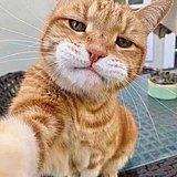 rkcazk的头像
