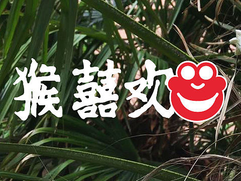 猴囍欢