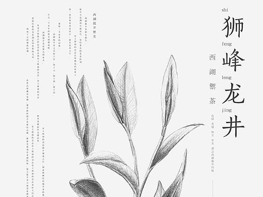 中国风 素描风格农产品 提案稿