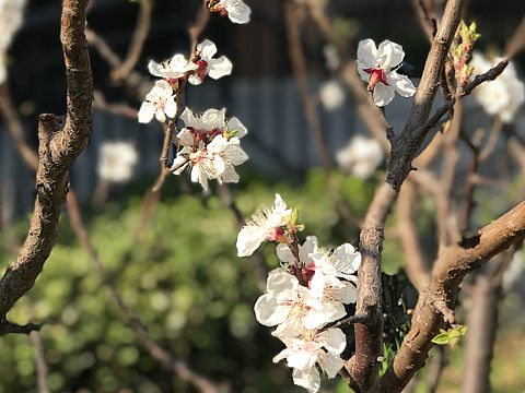 世界的美（个人主页-ZMzkyMTk4NDQ=） - 产品摄影 - 站酷设计师woshi八百里原创素材 - 站酷ZCOOL