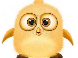 練習(xí)作業(yè)-呆萌小雞