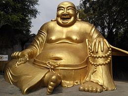 二爷祝我得奖