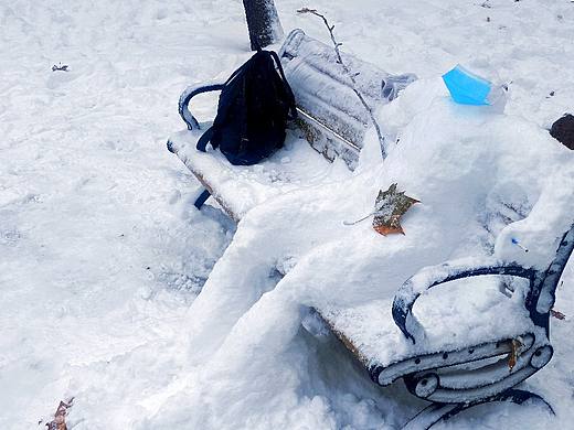雪里的故事 秋天在大雪里走向尾声
